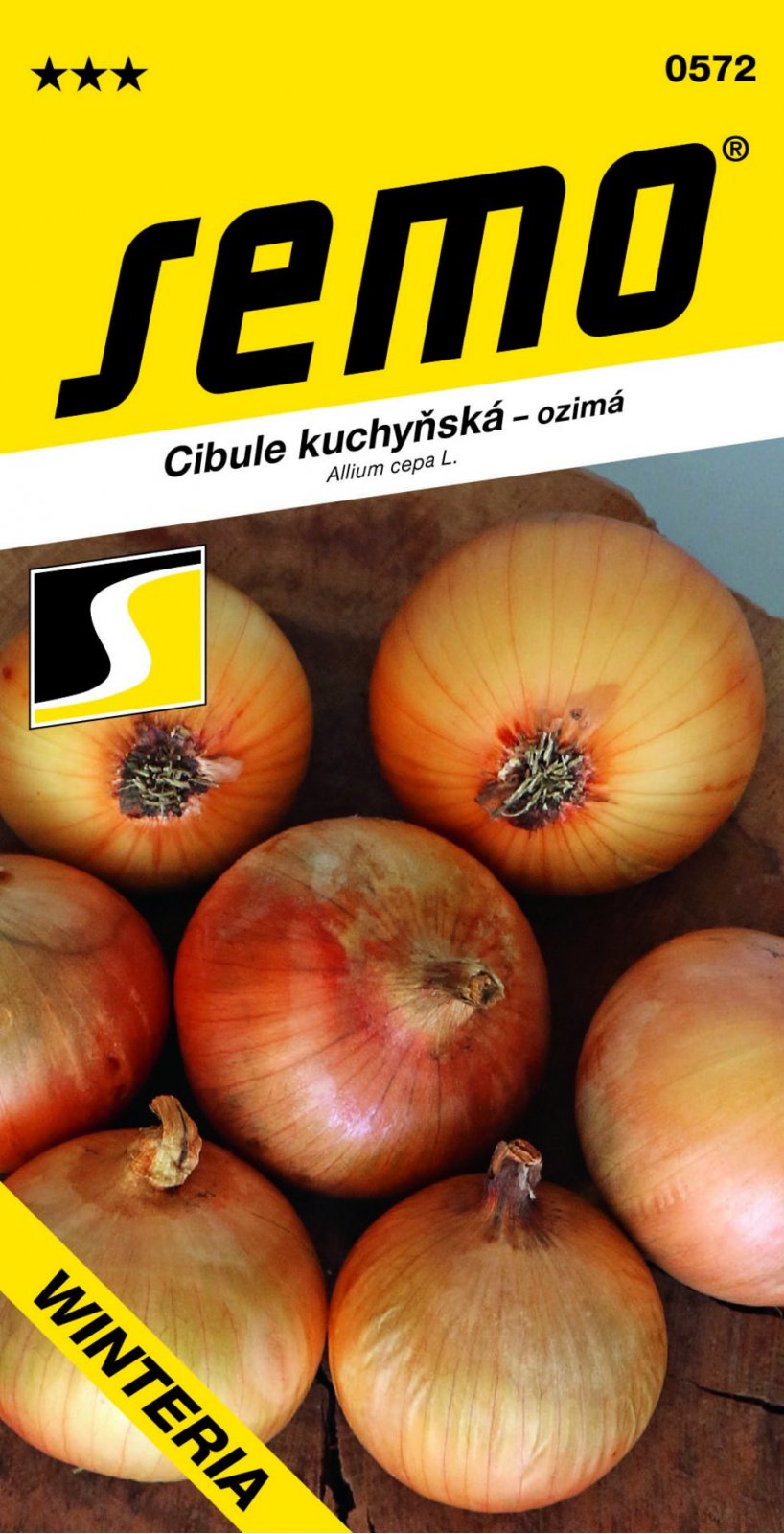 Cibule ozimá Winteria