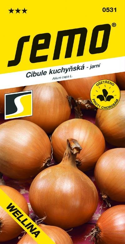 Cibule ke skladování Wellina