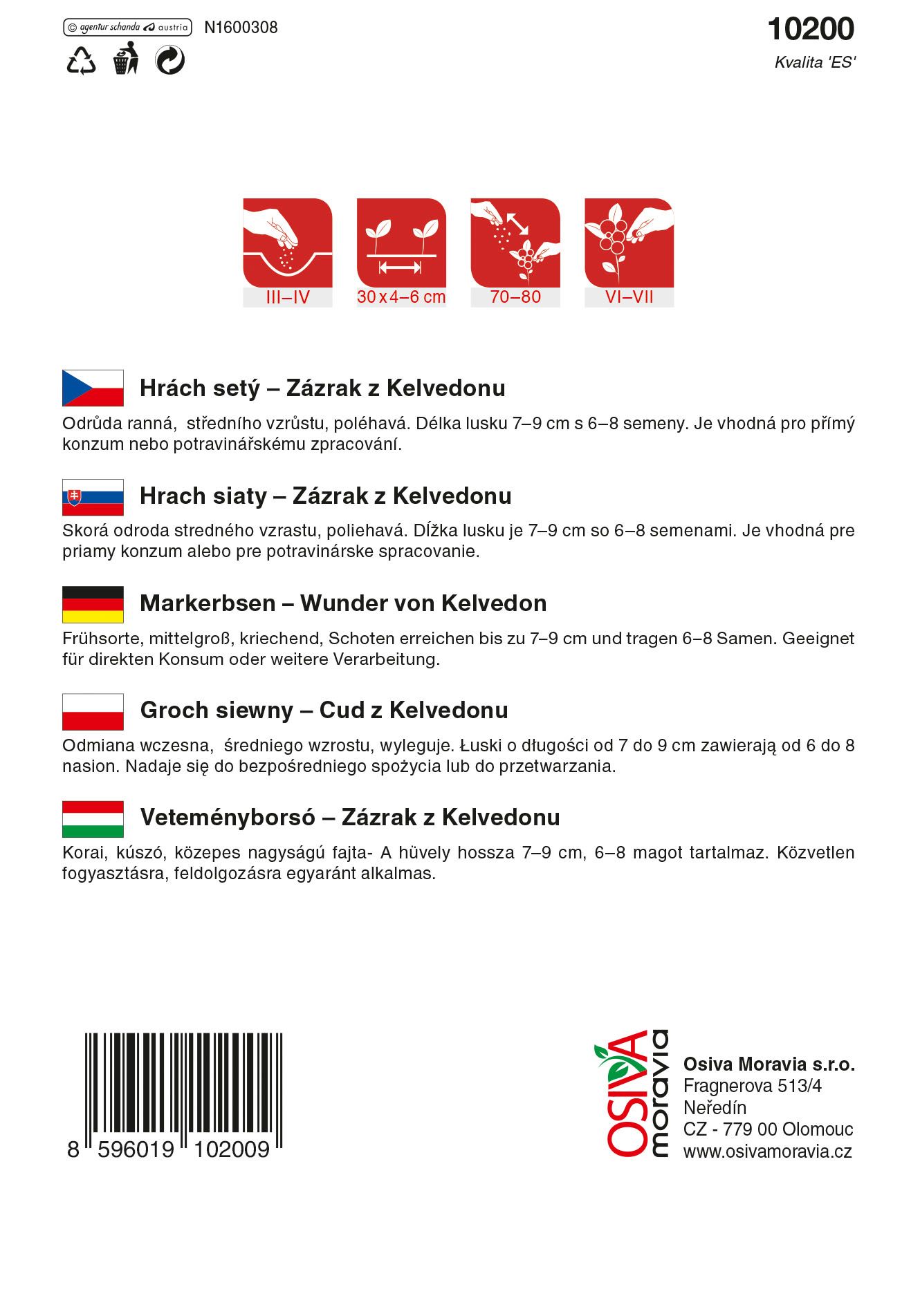 Hrách raný Zázrak z Kelvedonu 30g