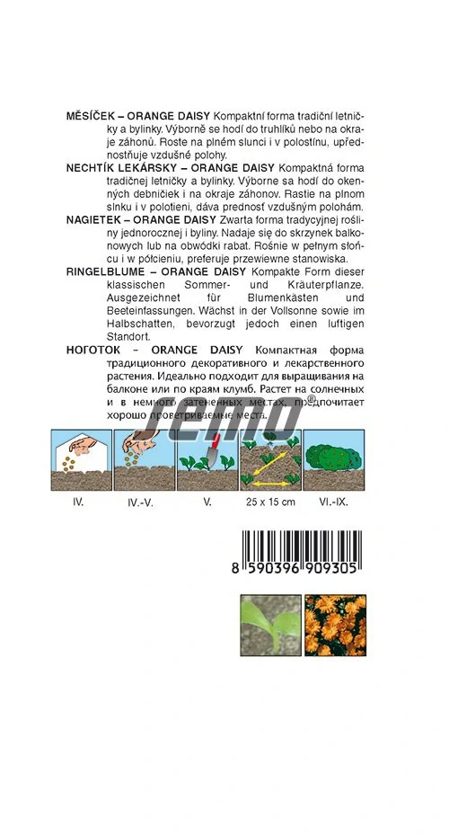 Měsíček oranžový mini do truhlíku