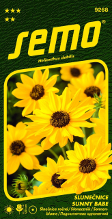 Slunečnice slabá medonosná