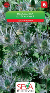 Máčka alpská na sušení