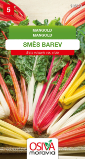 Mangold řapíkatý směs barev