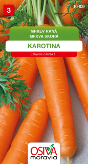 Mrkev karotka raná Karotina