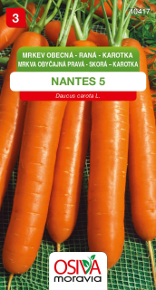 Mrkev karotka nantéská