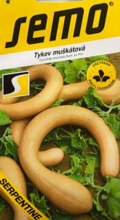 Dýně muškátová Serpentine F1