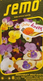 Miniviolky jedlé květy