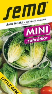 Salát římský Little gem