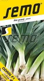 Pór zimní Odrín F1