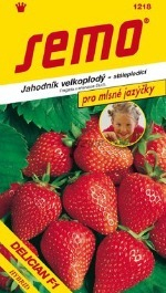 Jahoda stáleplodící lahůd. Delician F1