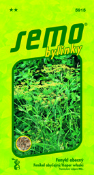 Fenykl obecný bylinka