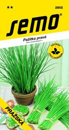 Pažitka do truhlíku Praga