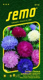 Astra American Beauty