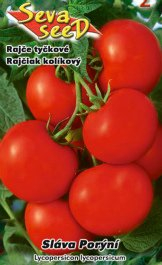 Rajče tyčkové Sláva Porýní