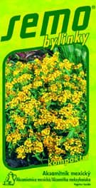 Aksamitník mexický