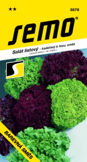 Salát listový kadeřavý směs