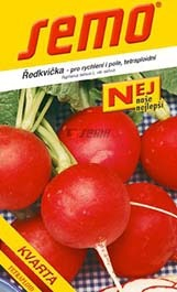 Ředkvička maxi máslová Kvarta