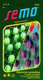 Černucha damašská duo