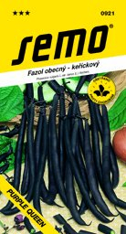 Fazol keříčkový fialový