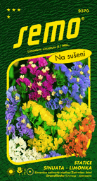 Statice limonka směs barev