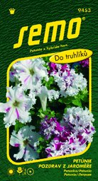 Petunie kadeřavá Z Jaroměře