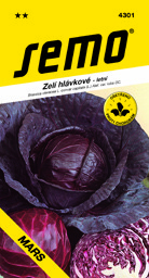 Zelí červené letní rané