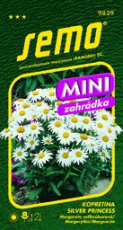 Kopretina bílá mini Silver princess