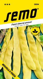 Fazol pnoucí žlutoluský