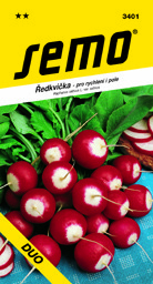 Ředkvička dvoubarevná raná