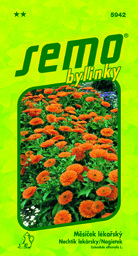 Měsíček lékařský léčivka