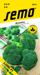 Brokolice celoroční Steel F1