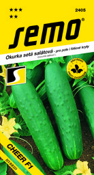 Okurka salátová velmi raná Cheer F1