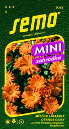 Měsíček oranžový mini do truhlíku