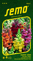 Hledík větší střední Majestic